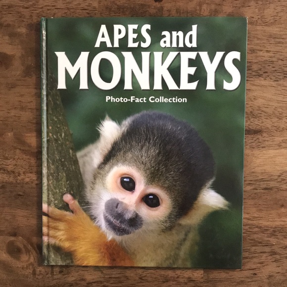 Animal Books for Kids - Picture 6 of 9